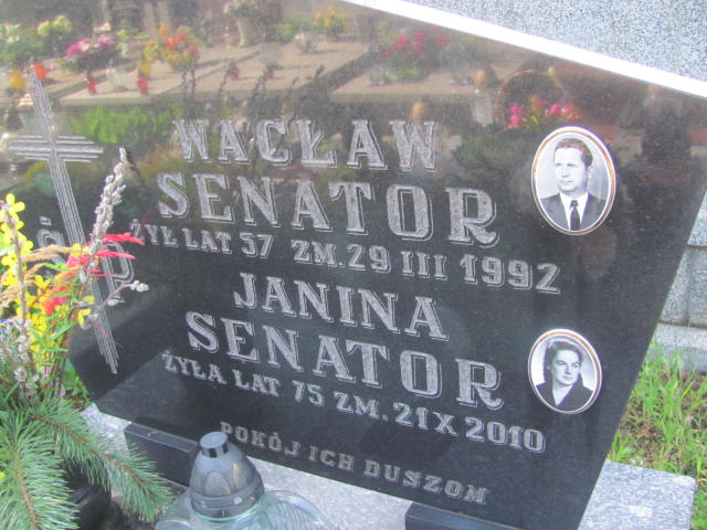 Grób Janina Senator