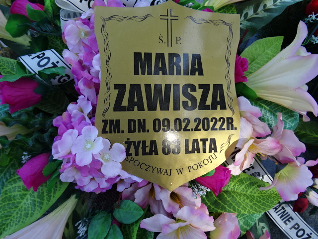 Grób Tadeusz Zawisza